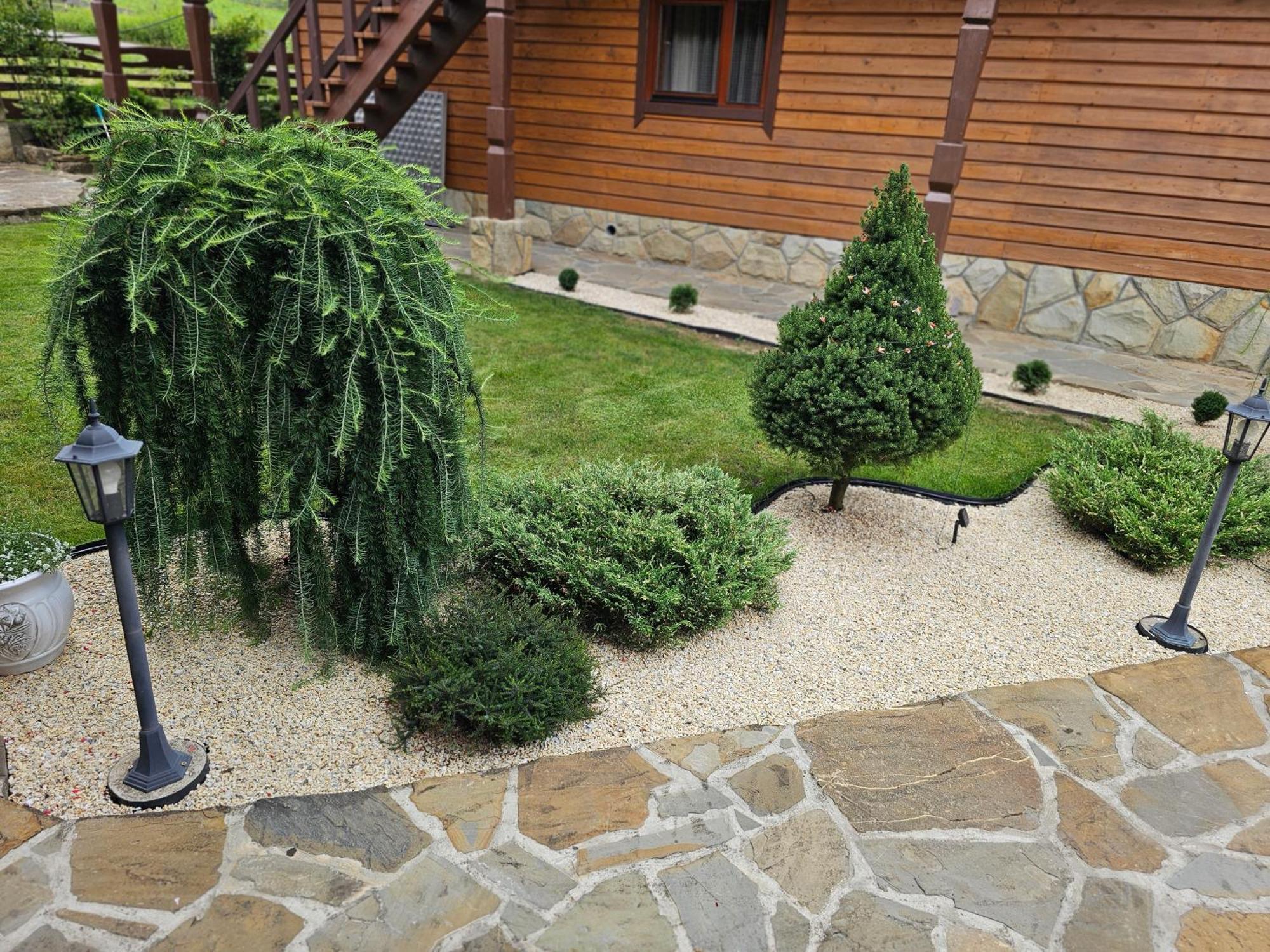 Guesthouse Kolo Druziv Татарив Екстериор снимка